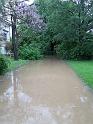 Hochwasser (60)